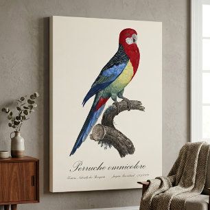 Östlig rosella eller Platycercus eximius parakit Canvastryck