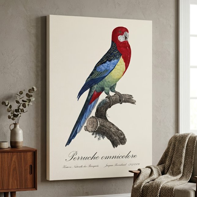 Östlig rosella eller Platycercus eximius parakit Canvastryck (Eastern rosella or Platycercus eximius parakeet. Canvas Print)