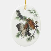 Östlig Screechuggla, John Audubon