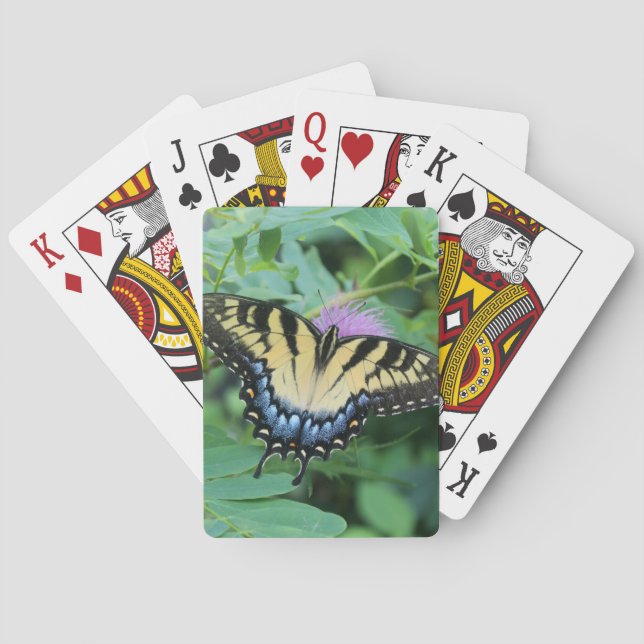Östlig tiger swallowtail casinokort (Baksidan)