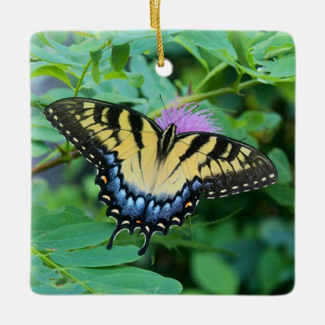 Östlig tiger swallowtail-fjäril julgransprydnad keramik (Framsida)