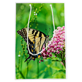 Östlig tigerSwallowtail fjäril