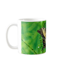 Östlig tigerSwallowtail fjäril