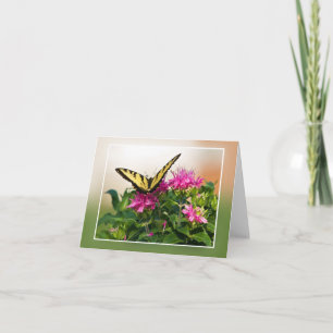 Östlig tigerSwallowtail fjäril Kort