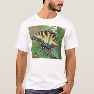 Östlig tigerSwallowtail fjäril Tröja