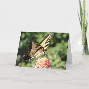 Östlig tigerswallowtail helgkort