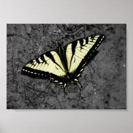 Östlig tigertryck poster