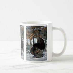 Östlig vildkalkon, stor kalkontupp som svassar i kaffemugg