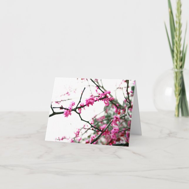 Östliga Redbud Kort (Framsida)