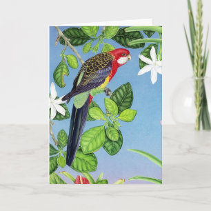 Östliga Rosella Helgkort