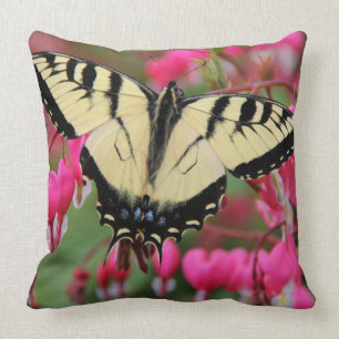 Östliga Swallowtail 2 Kudde