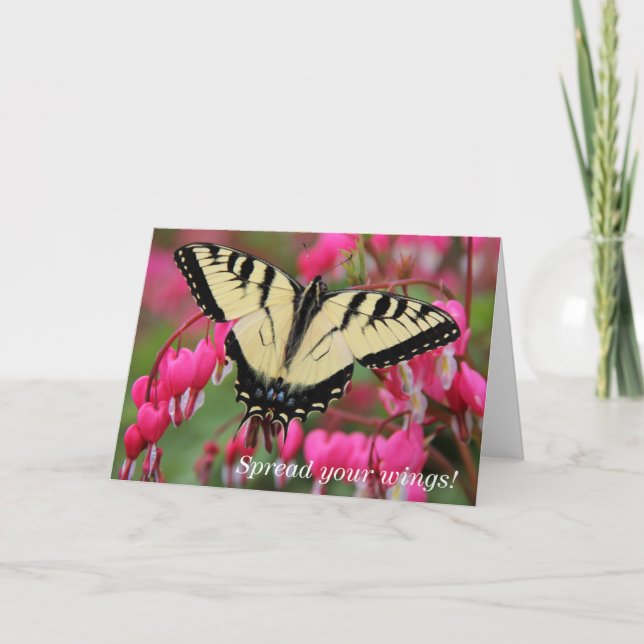 Östliga Swallowtail Helgkort (Framsida)