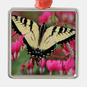 Östliga Swallowtail Julgransprydnad Metall