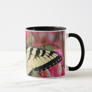 Östliga Swallowtail Mugg