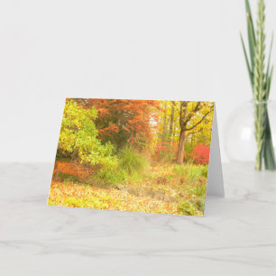 "ÖSTPALETTE" (SKOGEN AWASH IN FÄRG/PHOTOG) KORT