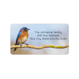 Östra Bluebird Adressetikett