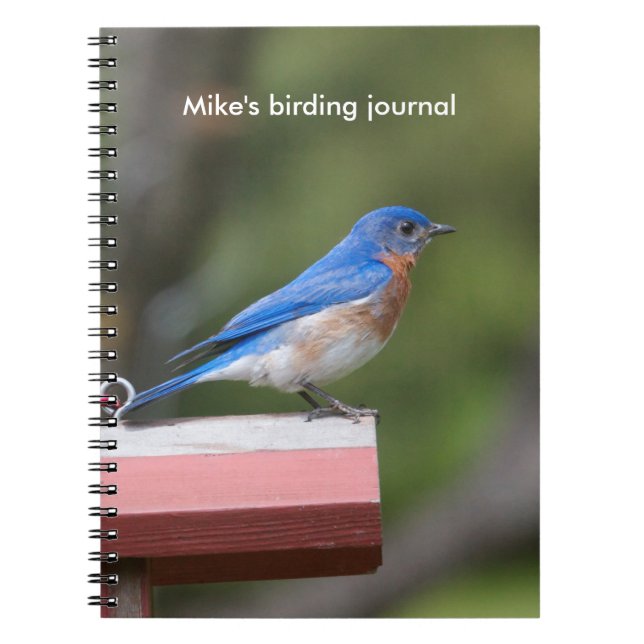 Östra Bluebird Anteckningsbok (Framsidan)
