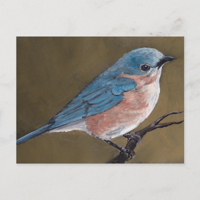 Östra Bluebird Bird Art Postcard Vykort (Framsida)
