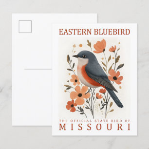 Östra Bluebird Bird of Missouri USA Travel Vykort