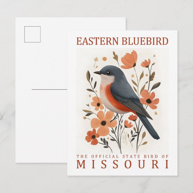 Östra Bluebird Bird of Missouri USA Travel Vykort (Fram/baksida)