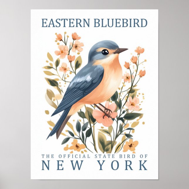 Östra Bluebird Bird of New York USA Poster (Framsidan)
