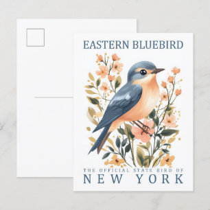 Östra Bluebird Bird of New York USA Vykort