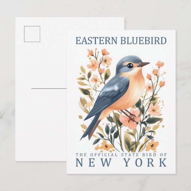 Östra Bluebird Bird of New York USA Vykort (Fram/baksida)
