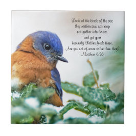 Östra Bluebird Ceramic Photo Tile Matthew 6:26 Kakelplatta