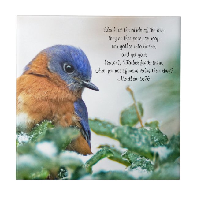 Östra Bluebird Ceramic Photo Tile Matthew 6:26 Kakelplatta (Framsidan)