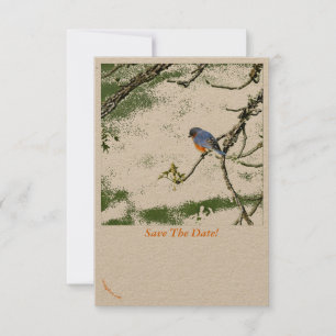 Östra Bluebird/Champagne Glass Spara datum ~