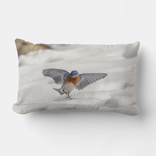 Östra Bluebird dans i snö Lumbarkudde (Framsida)