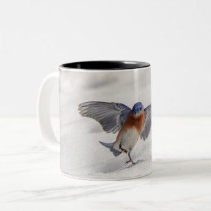 Östra Bluebird dans i snö Två-Tonad Mugg
