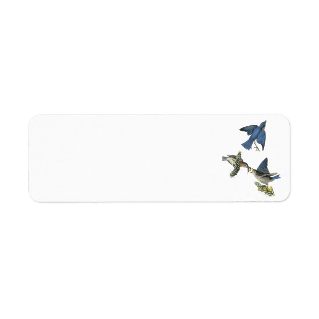 Östra Bluebird från Audubon Returadress Etikett (Framsidan)