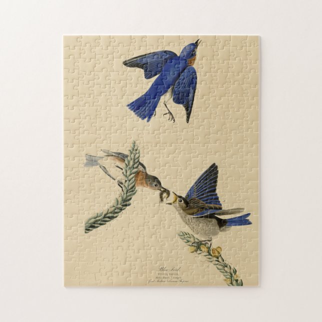 Östra Bluebird från Audubon's Birds of America Pussel (Vertikal)