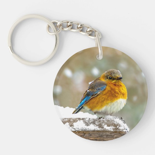 Östra Bluebird in Snö - Originalfoto (Framsidan)