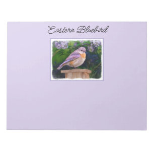 Östra Bluebird in Snö - Originalfoto Anteckningsblock