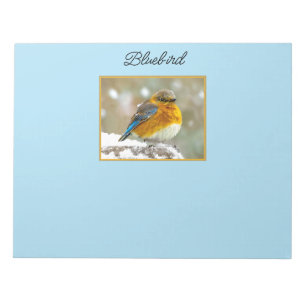 Östra Bluebird in Snö - Originalfoto Anteckningsblock