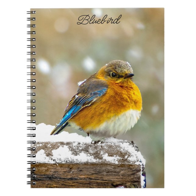 Östra Bluebird in Snö - Originalfoto Anteckningsbok (Framsidan)