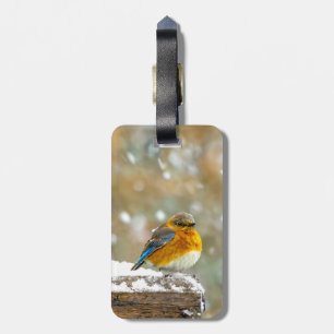 Östra Bluebird in Snö - Originalfoto Bagagebricka