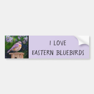 Östra Bluebird in Snö - Originalfoto Bildekal