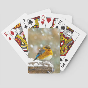 Östra Bluebird in Snö - Originalfoto Casinokort