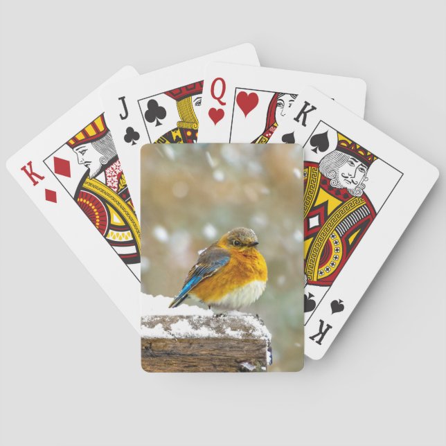 Östra Bluebird in Snö - Originalfoto Casinokort (Baksidan)