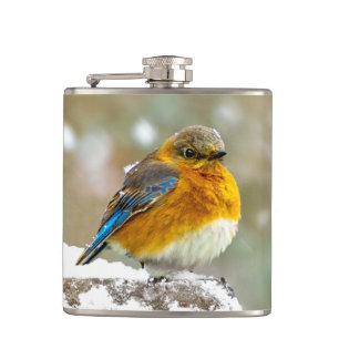 Östra Bluebird in Snö - Originalfoto Fickplunta