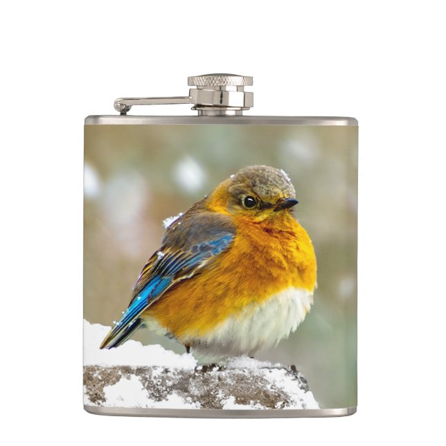 Östra Bluebird in Snö - Originalfoto Fickplunta (Framsidan)
