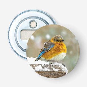 Östra Bluebird in Snö - Originalfoto Flasköppnare