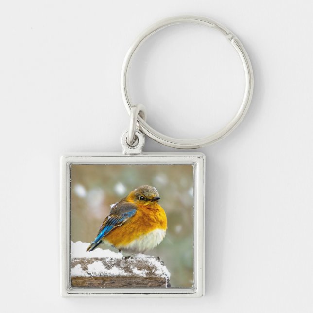 Östra Bluebird in Snö - Originalfoto Fyrkantig Silverfärgad Nyckelring (Framsidan)