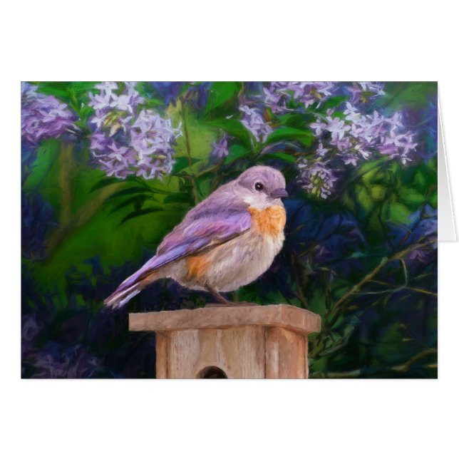 Östra Bluebird in Snö - Originalfoto Hälsningskort (Framsidan Horizontal)