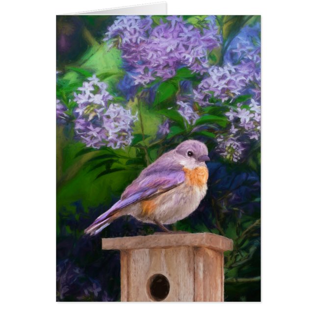 Östra Bluebird in Snö - Originalfoto Hälsningskort (Framsidan)