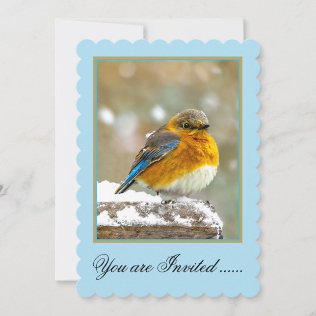 Östra Bluebird in Snö - Originalfoto Inbjudningar (Framsida)
