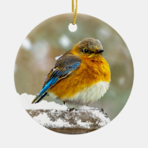 Östra Bluebird in Snö - Originalfoto Julgransprydnad Keramik